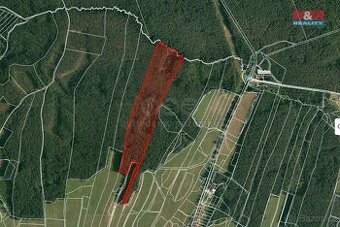 Prodej lesa, 22334 m², Klikov - Suchdol nad Lužnicí