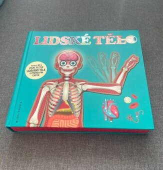 Kniha s puzzle