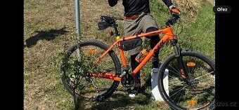 KTM Alp