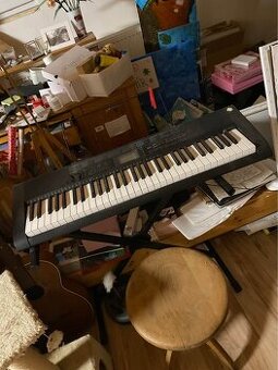 Klávesy,  Casio CTK-1200