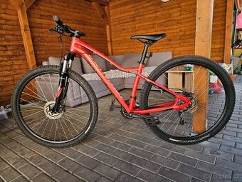 Specialized Jett Comp 29 2018 Horske kolo