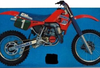 Maico 250