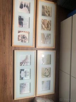 Obrazy IKEA bříza Hradec Králové