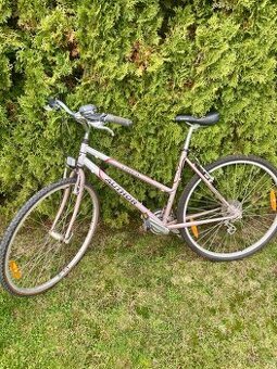 Dámské kolo Author Linea 19