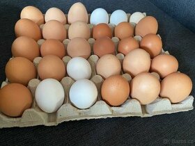 Prodej vajec