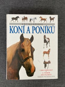 Knihy o koních