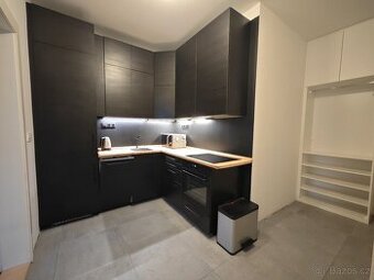 Pronájem prostorného bytu 1+1_51m2_Vinohrady u Muzea
