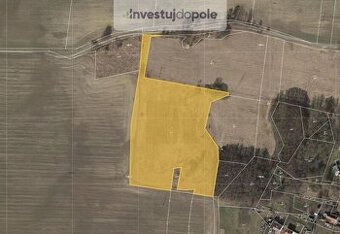 Prodej zemědělské půdy v k.ú. Trstěnice u Mariánských Lázní