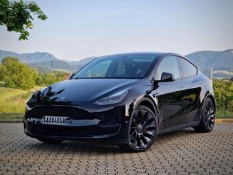 Tesla Model Y 79 kWh Performance AWD Dual Motor DPH