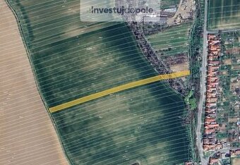 Prodej pole 3 814 m², Moravany, ev.č. 2025-06-03-13