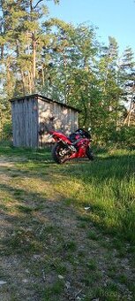 Honda CBR 954