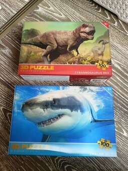 3D PUZZLE 100 dílků