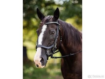 Uzdečka Horse4U Django XFull