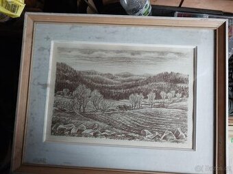 Vojtková - Samotín 1975