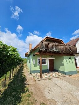 Prodej kouzelného vinného sklepa v srdci vinic