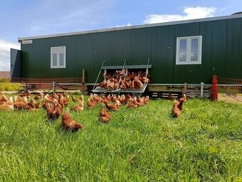 PROFI Mobilní kurník STARTER MAX – Až 450 nosnic