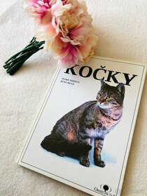 Kniha kočky
