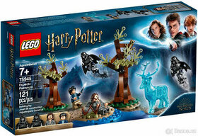 LEGO 75945 Harry Potter - Expecto Patronum - 1