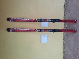 Lyže 176 cm