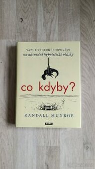 co kdyby? - Randall Munroe