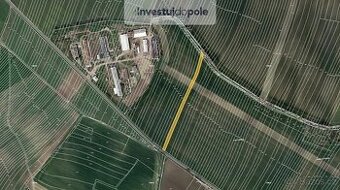 Prodej pole 3 757 m², Borkovany, ev.č. 2025-06-30-29