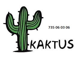 Simkarta SIM 735 06 03 06 - nové Kaktus
