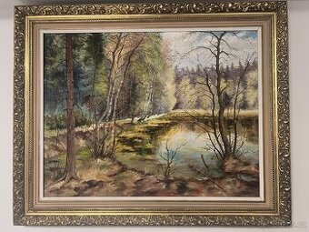 Obraz : Lesni krajina