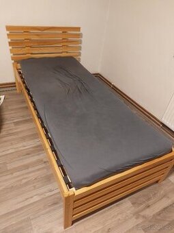 Postel borovice masiv