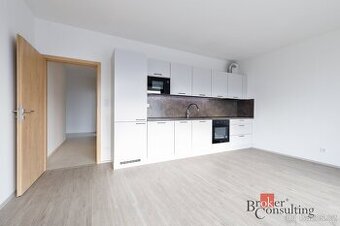 Prodej, byty/2+kk, 55 m2, Železná 3057/4, 30100 Plzeň, Plzeň