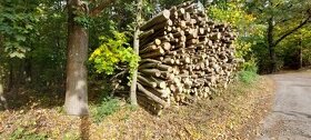 Palivové dřevo tvrdé Roudnice nad Labem