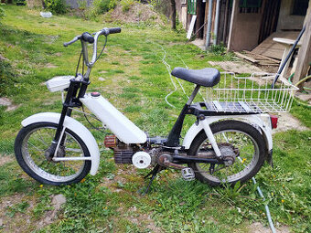 Babeta rok 1977