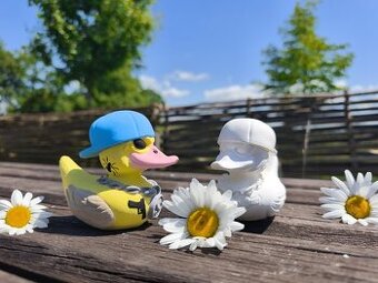 3D omalovánka kačenka gangster
