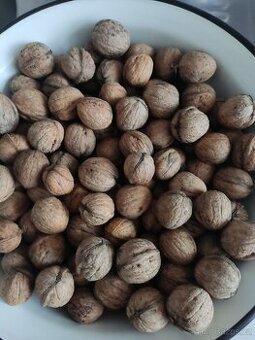 Vlašské ořechy neloupané