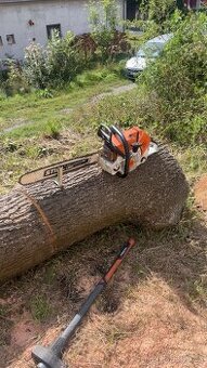 Rizikové kácení stromů