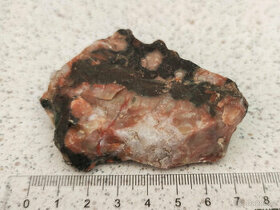 Zkamenělý dinosauří trus - Achát Fosilie Karneol 3