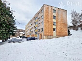 Prodej, byt 2+1, 59 m2, Meziboří, ul. Nad parkem