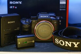 Sony A7RIII + Sony 24-105mm G