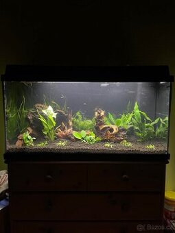 Akvárium 110l + technika