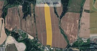 Prodej pole v k.ú. Hamr na Jezeře