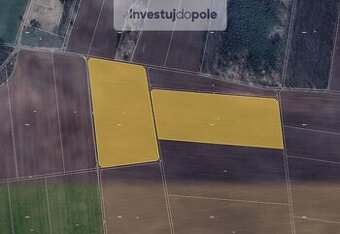 Prodej pole v k.ú. Břežany u Znojma