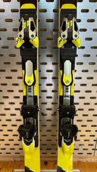 BLOSSOM WC GS OVERLIMIT PLUS 185 cm + HEAD FREE FLEX EVO16