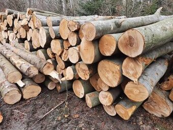Palivové dřevo tvrdé sleva 50%