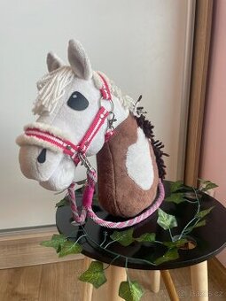 hobby horse