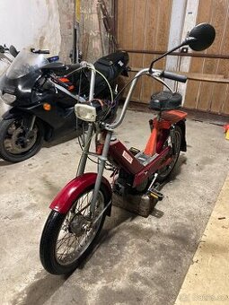 Babetta 207
