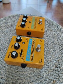 Bayger, Sustainer, Digital Delay