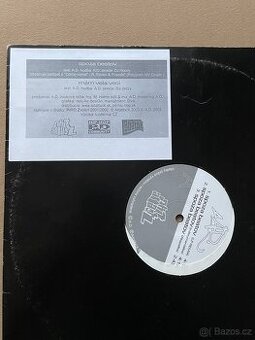 Vinyl A.D. - Spoza beatov 12”