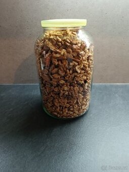 Vlašské ořechy (loupané)