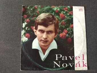 LP - Pavel NOVÁK - Supraphon 013419 H - 1