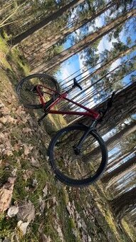 Cannondale Trail Two