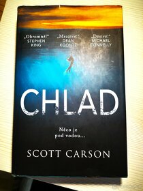 Scott Carson - Chlad